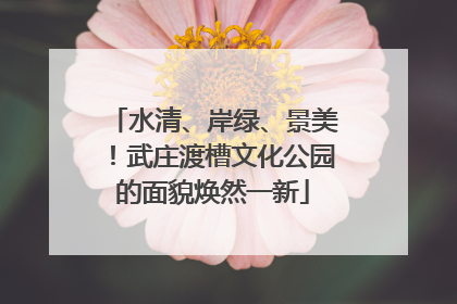 水清、岸绿、景美！武庄渡槽文化公园的面貌焕然一新
