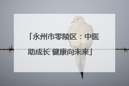 永州市零陵区：中医助成长 健康向未来