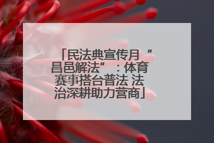 民法典宣传月“昌邑解法”：体育赛事搭台普法 法治深耕助力营商