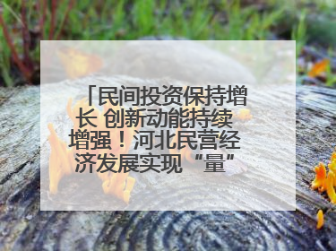 民间投资保持增长 创新动能持续增强！河北民营经济发展实现“量”“质”双提升