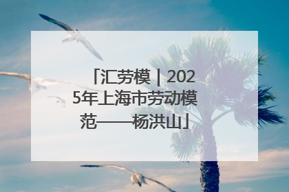 汇劳模｜2025年上海市劳动模范——杨洪山
