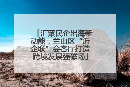 汇聚民企出海新动能，兰山区“沂企联”会客厅打造跨境发展强磁场