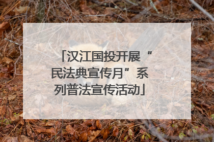 汉江国投开展“民法典宣传月”系列普法宣传活动