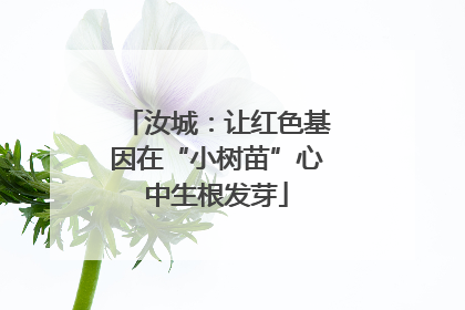 汝城：让红色基因在“小树苗”心中生根发芽