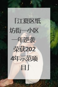 江夏区纸坊街一小区一年逆袭 荣获2024年示范项目
