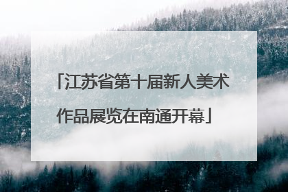江苏省第十届新人美术作品展览在南通开幕