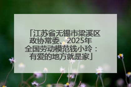 江苏省无锡市梁溪区政协常委、2025年全国劳动模范钱小玲：有爱的地方就是家