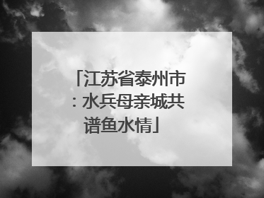 江苏省泰州市：水兵母亲城共谱鱼水情