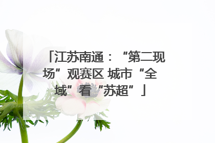 江苏南通：“第二现场”观赛区 城市“全域”看“苏超”
