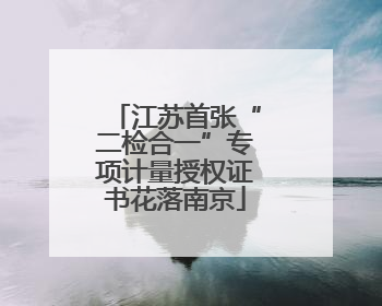 江苏首张“二检合一”专项计量授权证书花落南京