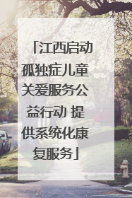 江西启动孤独症儿童关爱服务公益行动 提供系统化康复服务