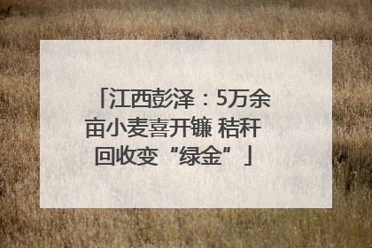 江西彭泽：5万余亩小麦喜开镰 秸秆回收变“绿金”