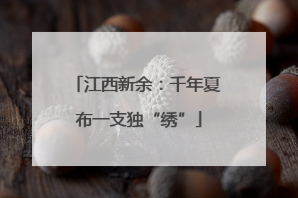 江西新余：千年夏布一支独“绣”