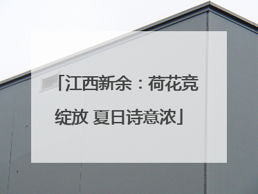 江西新余：荷花竞绽放 夏日诗意浓