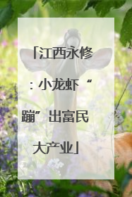 江西永修：小龙虾“蹦”出富民大产业