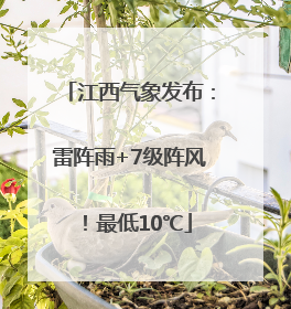 江西气象发布：雷阵雨+7级阵风！最低10℃