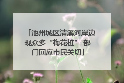 池州城区清溪河岸边现众多“梅花桩” 部门回应市民关切