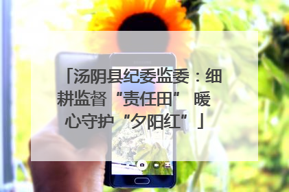 汤阴县纪委监委：细耕监督“责任田” 暖心守护“夕阳红”