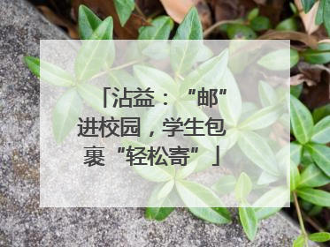 沾益：“邮”进校园，学生包裹“轻松寄”