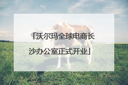 沃尔玛全球电商长沙办公室正式开业