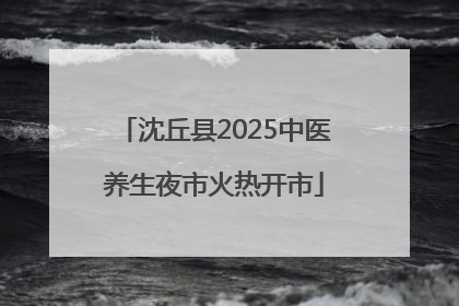 沈丘县2025中医养生夜市火热开市