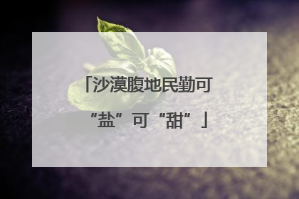 沙漠腹地民勤可“盐”可“甜”