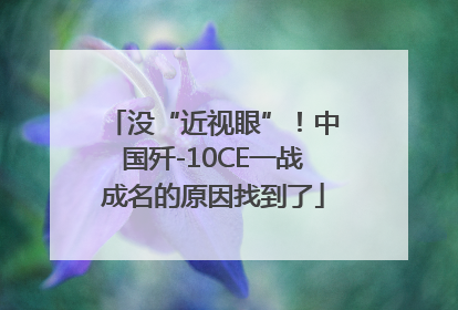 没“近视眼”！中国歼-10CE一战成名的原因找到了