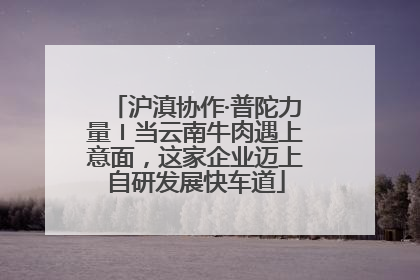 沪滇协作·普陀力量〡当云南牛肉遇上意面，这家企业迈上自研发展快车道