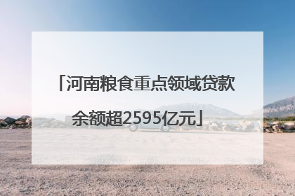 河南粮食重点领域贷款余额超2595亿元