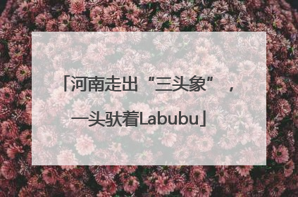 河南走出“三头象”，一头驮着Labubu