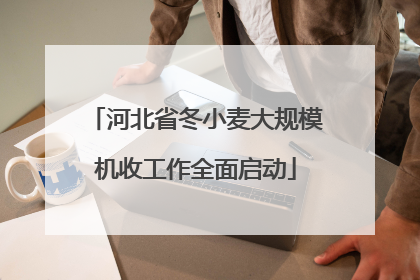 河北省冬小麦大规模机收工作全面启动