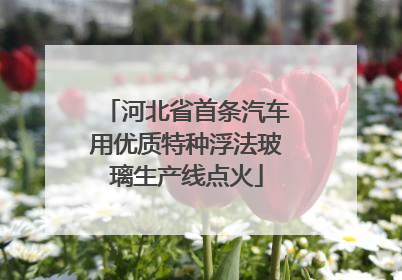 河北省首条汽车用优质特种浮法玻璃生产线点火