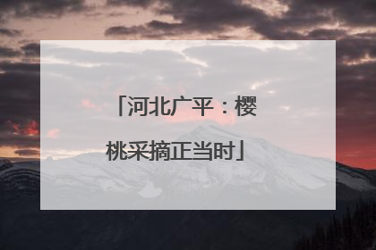 河北广平：樱桃采摘正当时