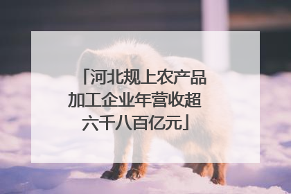 河北规上农产品加工企业年营收超六千八百亿元