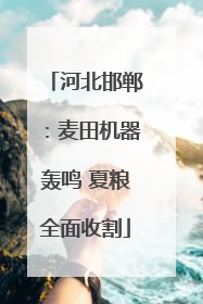 河北邯郸：麦田机器轰鸣 夏粮全面收割