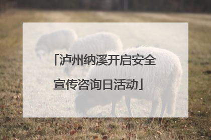 泸州纳溪开启安全宣传咨询日活动