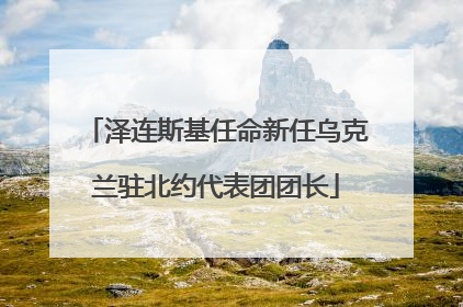 泽连斯基任命新任乌克兰驻北约代表团团长