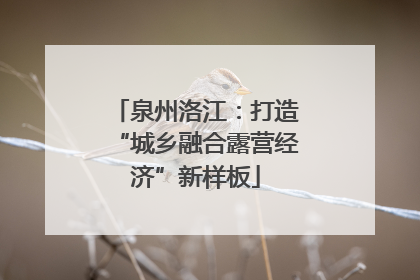 泉州洛江：打造“城乡融合露营经济”新样板