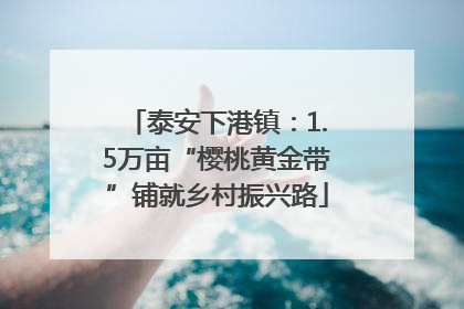 泰安下港镇：1.5万亩“樱桃黄金带”铺就乡村振兴路