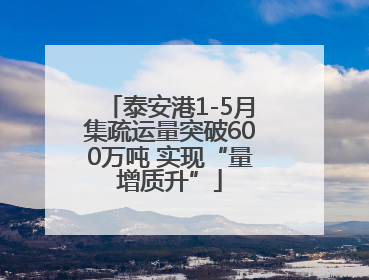 泰安港1-5月集疏运量突破600万吨 实现“量增质升”