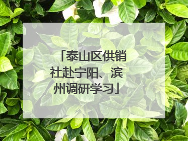 泰山区供销社赴宁阳、滨州调研学习