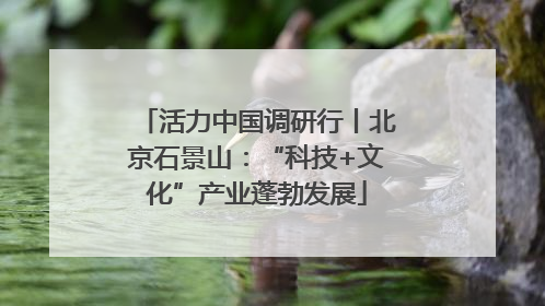 活力中国调研行丨北京石景山：“科技+文化”产业蓬勃发展