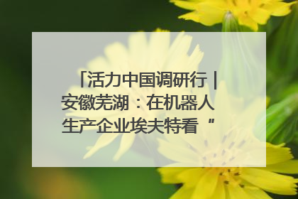 活力中国调研行｜安徽芜湖：在机器人生产企业埃夫特看“中国智造”