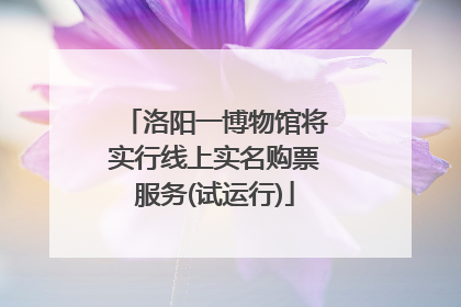 洛阳一博物馆将实行线上实名购票服务(试运行)