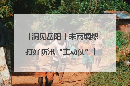 洞见岳阳丨未雨绸缪 打好防汛“主动仗”