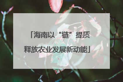 海南以“链”提质 释放农业发展新动能