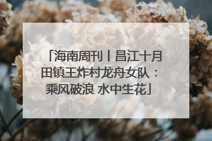 海南周刊丨昌江十月田镇王炸村龙舟女队：乘风破浪 水中生花