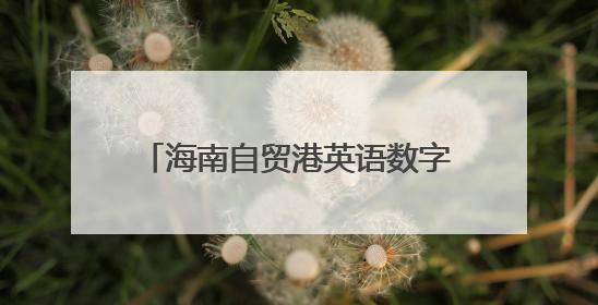 海南自贸港英语数字教材建设研讨会召开，探索产教融合新路径