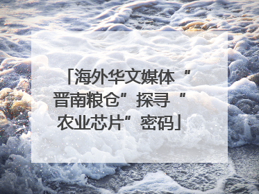 海外华文媒体“晋南粮仓”探寻“农业芯片”密码