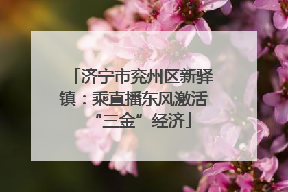 济宁市兖州区新驿镇：乘直播东风激活“三金”经济